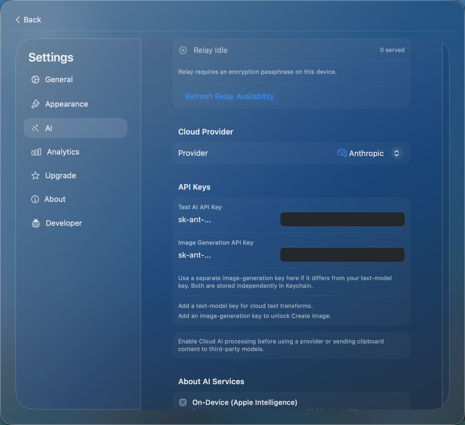 API key entry